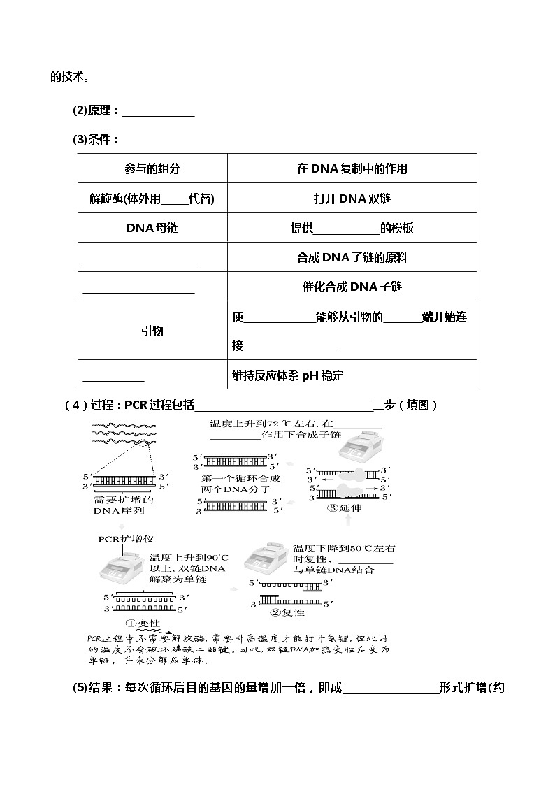 高中生物选择性必修三  3 2 1 基因工程的基本操作程序1（导学案）02