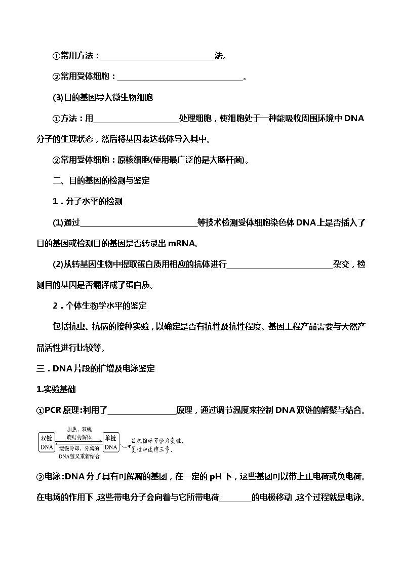 高中生物选择性必修三  3 2 1 基因工程的基本操作程序2（导学案）02