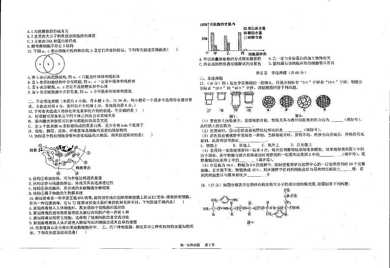 辽宁省辽西联合校2022-2023学年高一上学期期中考试 生物 PDF版试题第2页