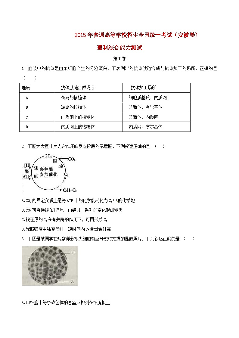 高中生物高考2015年普通高等学校招生全国统一考试理综试题（安徽卷，含答案）第1页