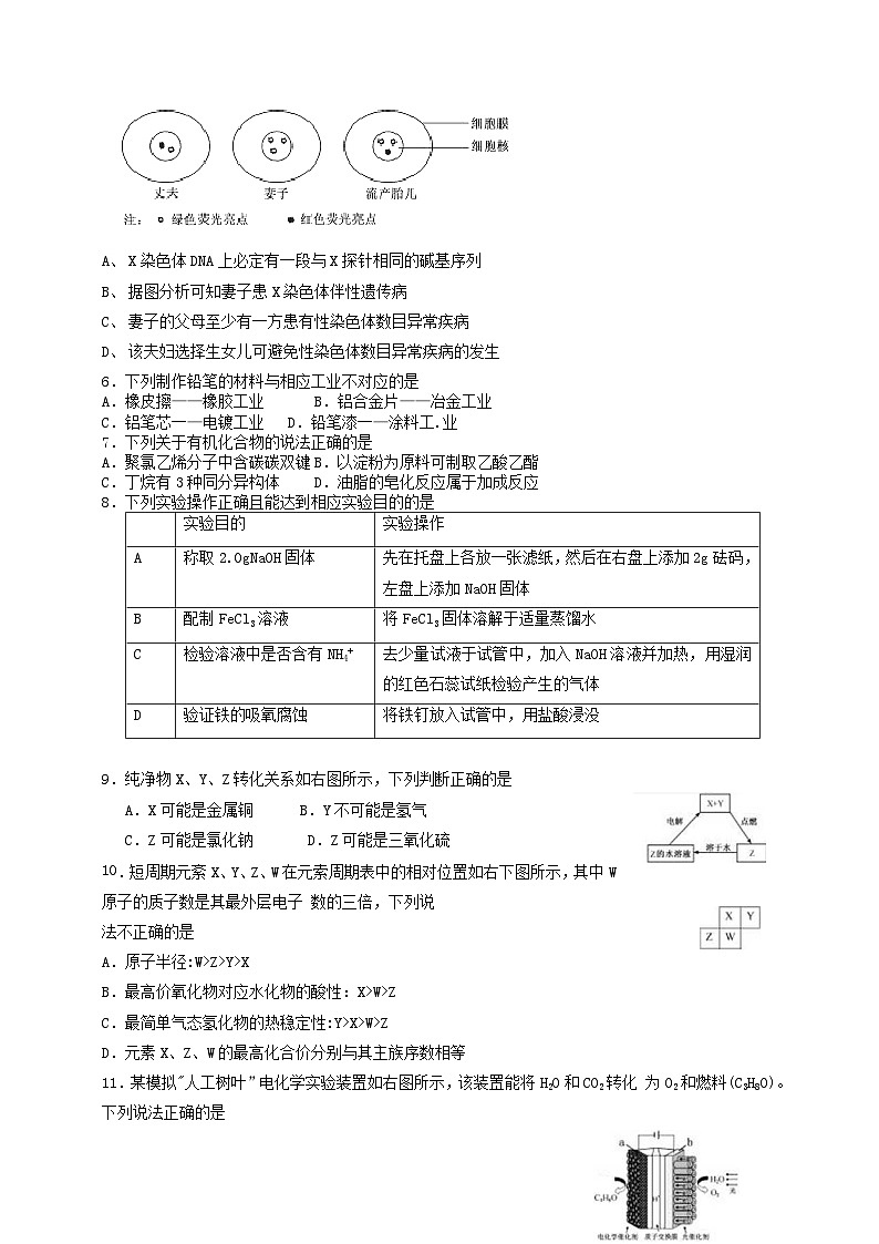 高中生物高考2015年普通高等学校招生全国统一考试理综试题（福建卷，含答案）第2页