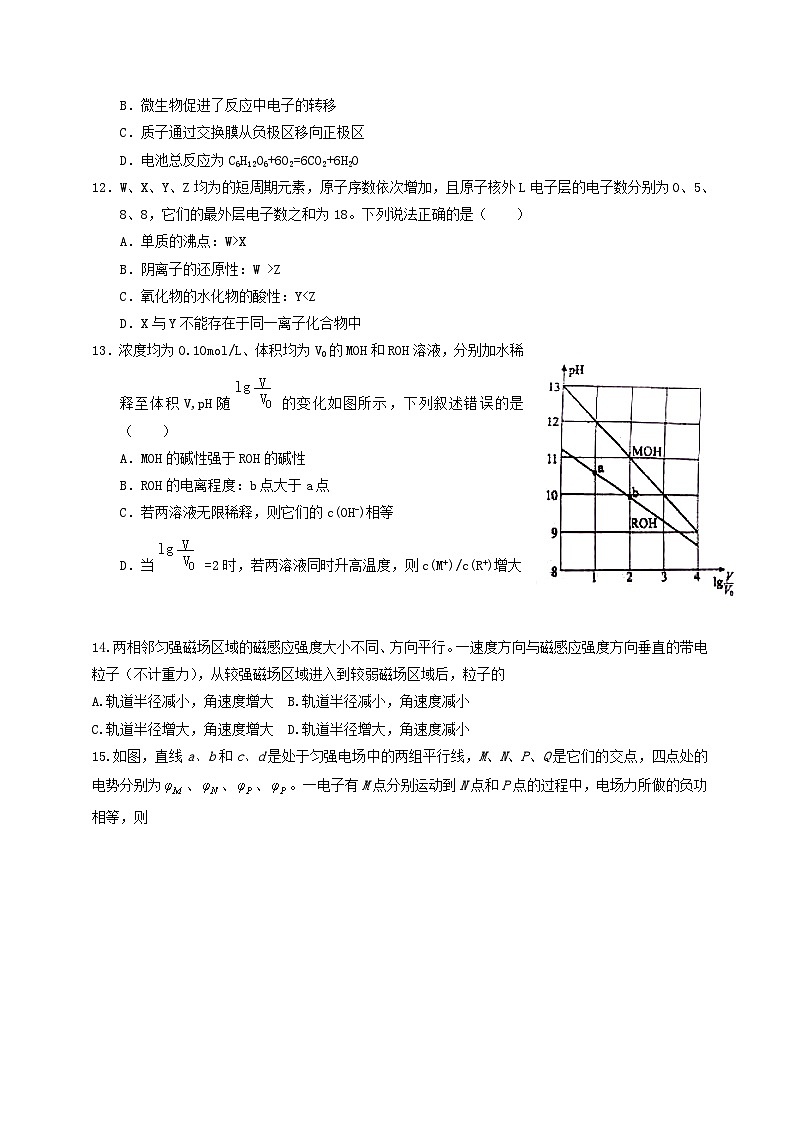 高中生物高考2015年普通高等学校招生全国统一考试理综试题（新课标Ⅰ卷，含答案）第3页