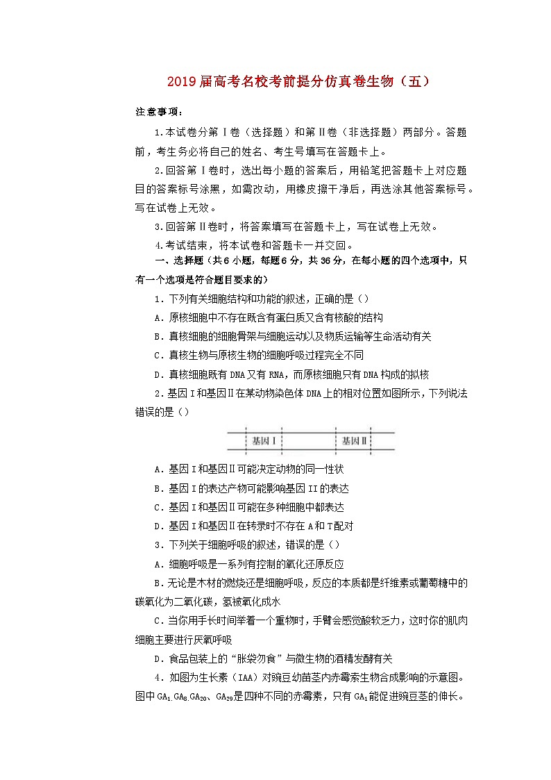 高中生物高考2019年高考生物名校考前提分仿真试卷（五）（含解析）第1页