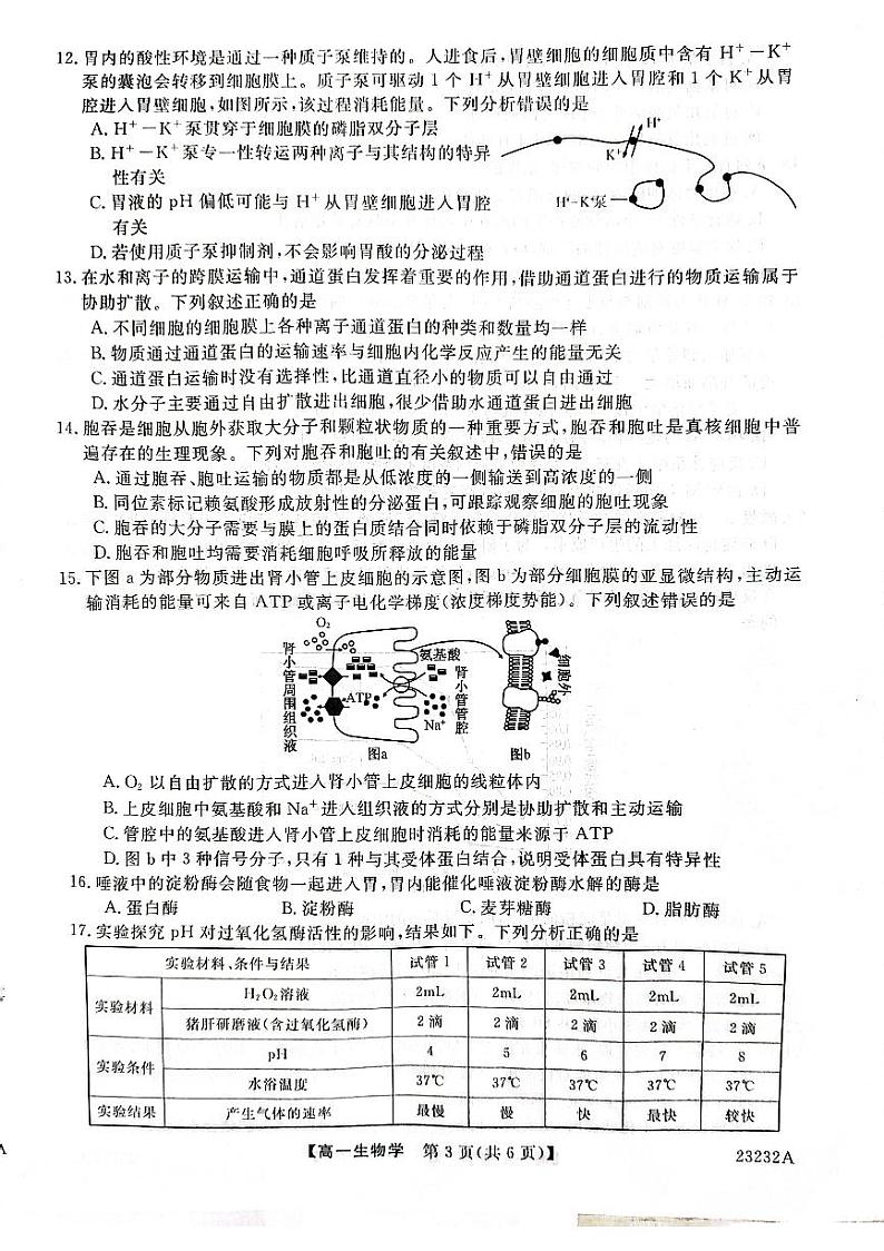 2022-2023学年陕西省宝鸡市教育联盟高一上学期质量检测（月考）生物PDF版含答案03