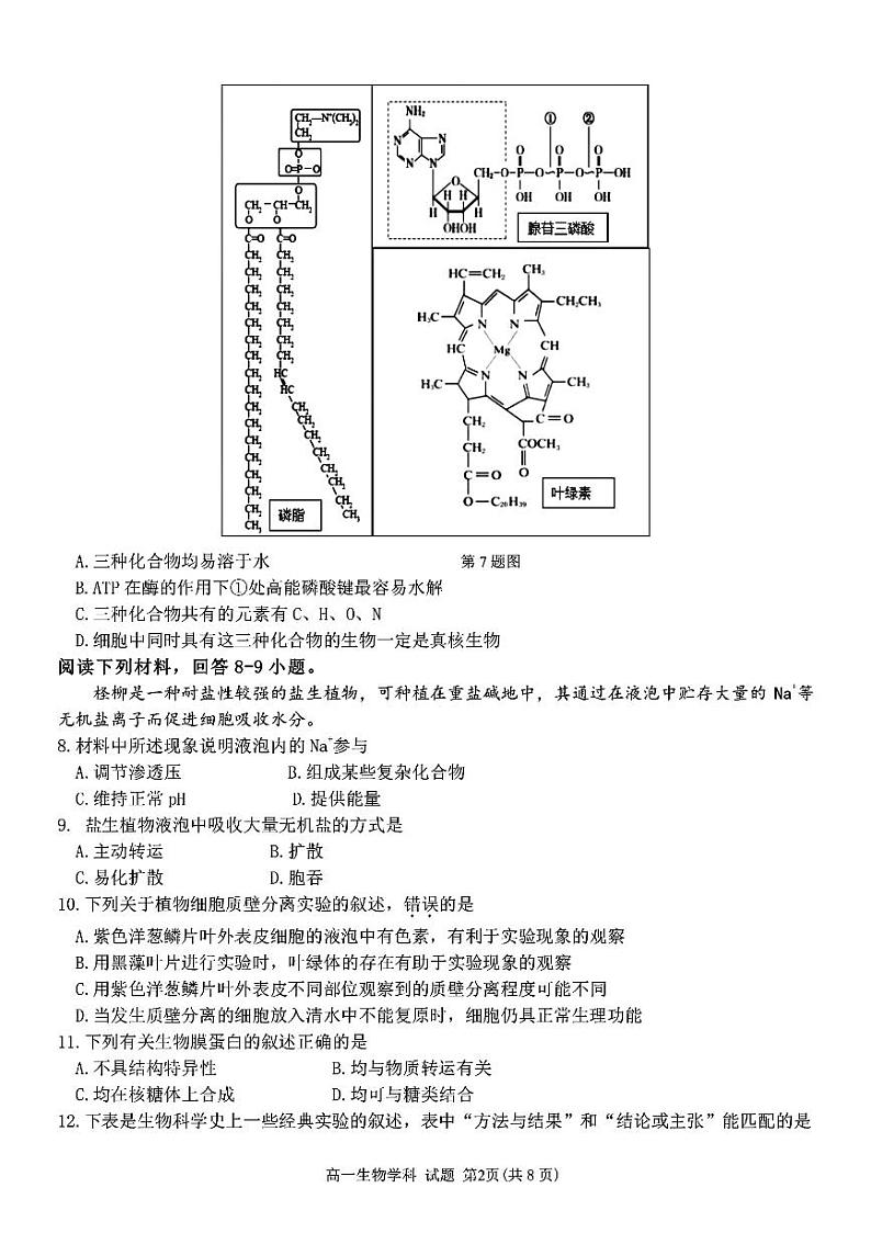 2022-2023学年浙江省湖州市三贤联盟高一上学期11月期中生物试题含答案第2页