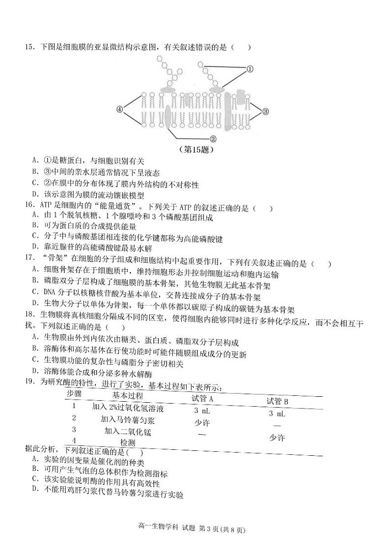 2022-2023学年浙江省浙南名校联盟高一上学期11月期中考试生物试题扫描版含答案第3页
