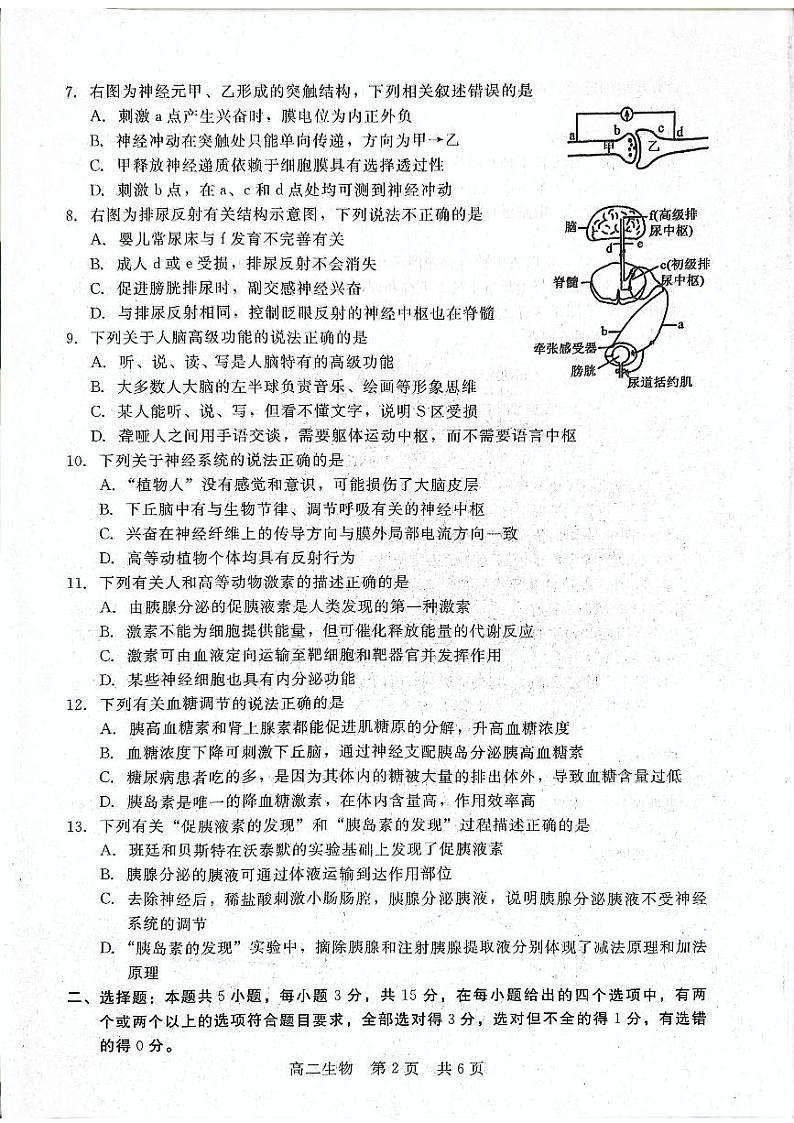 2022-2023学年河北省沧州市部分学校高二上学期第一次月考试题生物PDF版含答案02