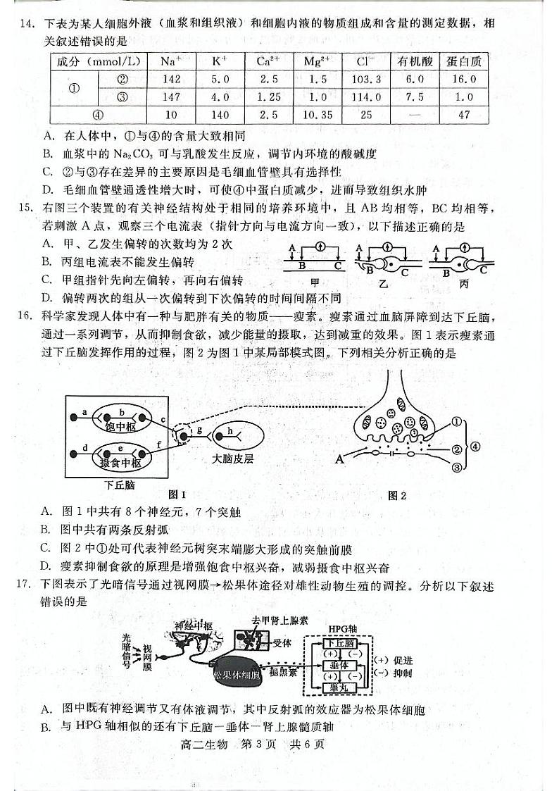 2022-2023学年河北省沧州市部分学校高二上学期第一次月考试题生物PDF版含答案03