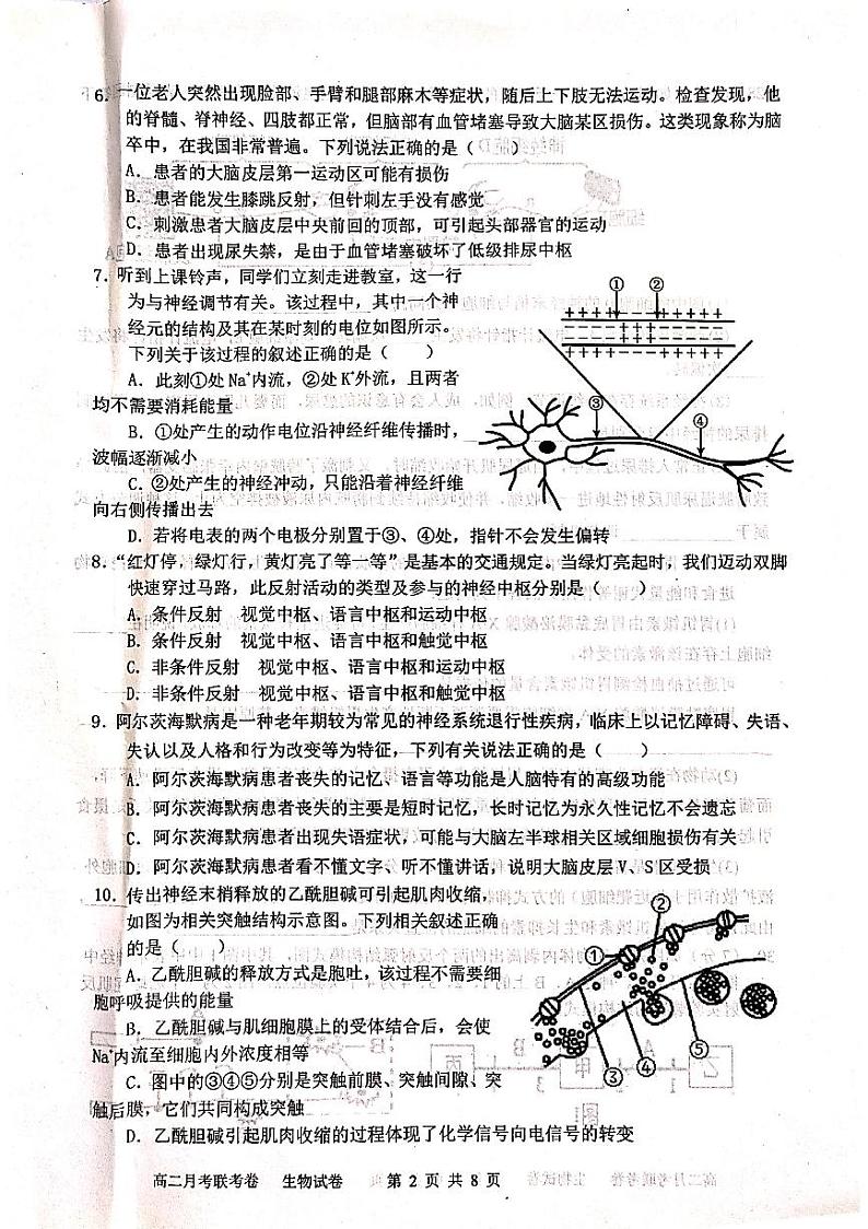 2022-2023学年河南省开封市五县高二上学期第一次月考联考生物试题PDF版含答案02