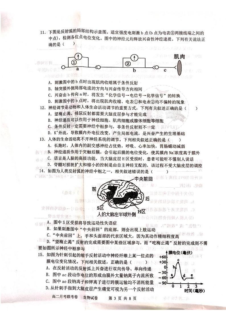2022-2023学年河南省开封市五县高二上学期第一次月考联考生物试题PDF版含答案03