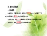 人教版高中生物选择性必修3第1章发酵工程第2节第1课时微生物的基本培养技术课件+课时检测含答案