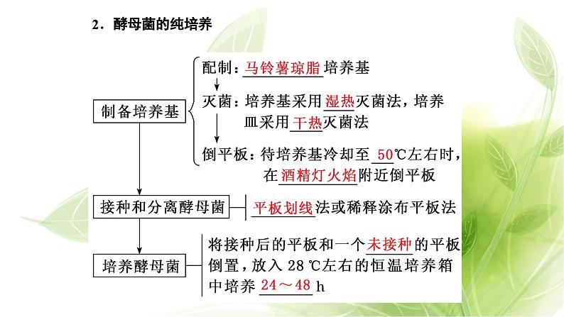 人教版高中生物选择性必修3第1章发酵工程第2节第1课时微生物的基本培养技术课件第5页