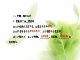 人教版高中生物选择性必修3第1章发酵工程第3节发酵工程及其应用课件+课时检测含答案