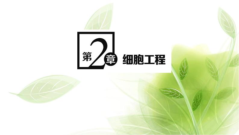 人教版高中生物选择性必修3第2章细胞工程第1节第1课时植物细胞工程的基本技术课件+课时检测含答案01