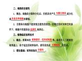 人教版高中生物選擇性必修3第2章細(xì)胞工程第1節(jié)第1課時(shí)植物細(xì)胞工程的基本技術(shù)課件+課時(shí)檢測(cè)含答案