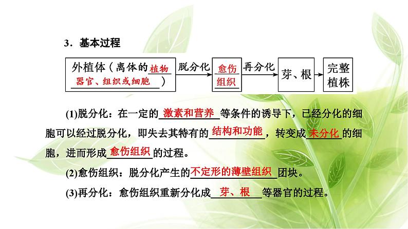 人教版高中生物选择性必修3第2章细胞工程第1节第1课时植物细胞工程的基本技术课件+课时检测含答案06