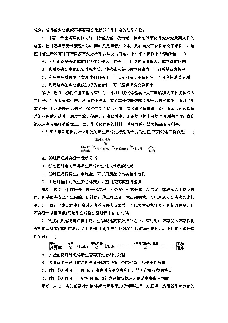 人教版高中生物选择性必修3第2章细胞工程第1节第2课时植物细胞工程的应用课件+课时检测含答案02