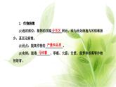 人教版高中生物选择性必修3第2章细胞工程第1节第2课时植物细胞工程的应用课件+课时检测含答案