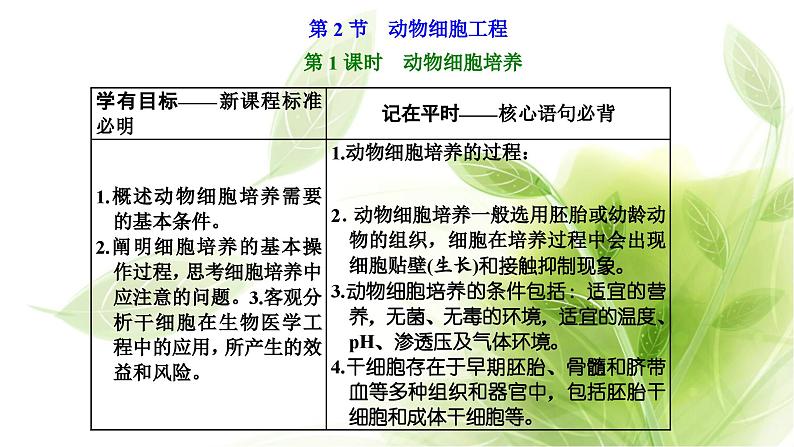 人教版高中生物选择性必修3第2章细胞工程第2节第1课时动物细胞培养课件+课时检测含答案01