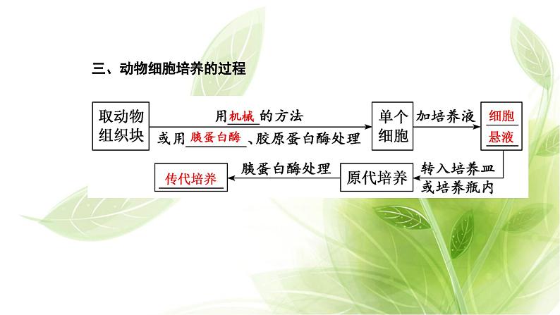 人教版高中生物选择性必修3第2章细胞工程第2节第1课时动物细胞培养课件+课时检测含答案04