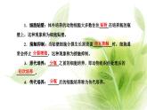 人教版高中生物選擇性必修3第2章細胞工程第2節(jié)第1課時動物細胞培養(yǎng)課件+課時檢測含答案