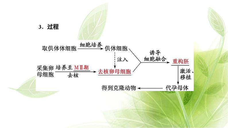 人教版高中生物选择性必修3第2章细胞工程第2节第3课时动物体细胞核移植技术和克隆动物课件+课时检测含答案03