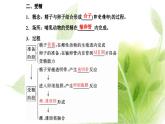 人教版高中生物選擇性必修3第2章細(xì)胞工程第3節(jié)第1課時(shí)胚胎工程的理論基礎(chǔ)課件+課時(shí)檢測(cè)含答案