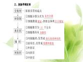 人教版高中生物選擇性必修3第2章細(xì)胞工程第3節(jié)第1課時(shí)胚胎工程的理論基礎(chǔ)課件+課時(shí)檢測(cè)含答案
