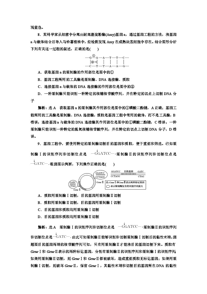 人教版高中生物选择性必修3第3章基因工程第1节重组DNA技术的基本工具课件+课时检测含答案03