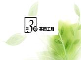 人教版高中生物选择性必修3第3章基因工程第1节重组DNA技术的基本工具课件+课时检测含答案