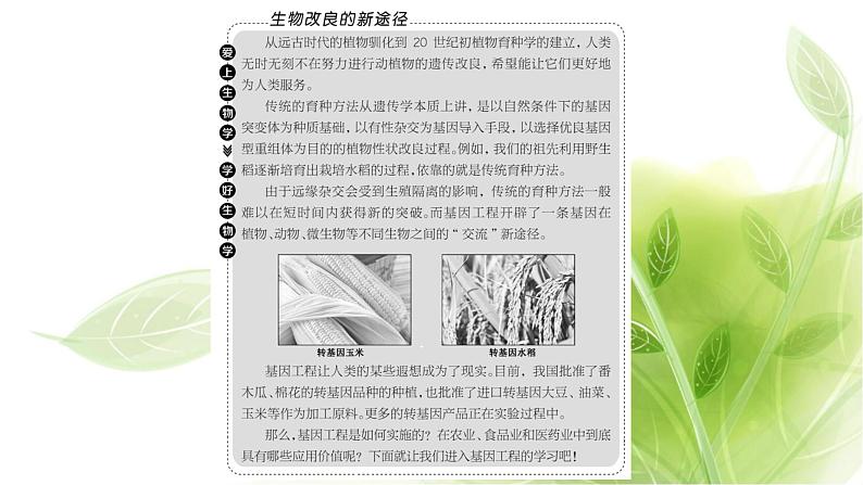 人教版高中生物选择性必修3第3章基因工程第1节重组DNA技术的基本工具课件+课时检测含答案02