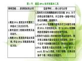 人教版高中生物选择性必修3第3章基因工程第1节重组DNA技术的基本工具课件+课时检测含答案