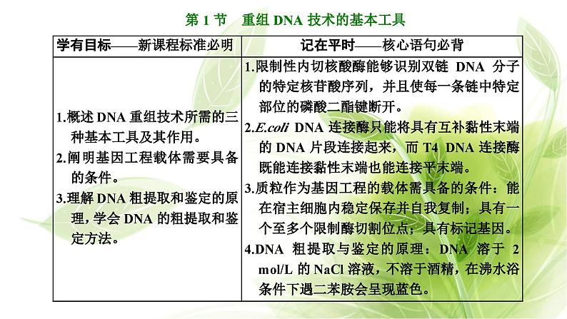 人教版高中生物选择性必修3第3章基因工程第1节重组DNA技术的基本工具课件+课时检测含答案03