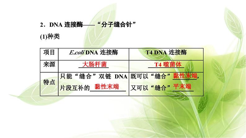 人教版高中生物选择性必修3第3章基因工程第1节重组DNA技术的基本工具课件+课时检测含答案08