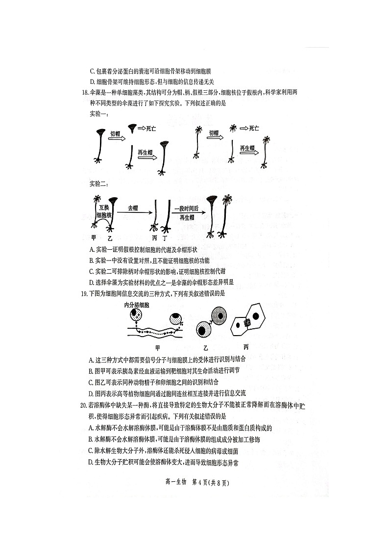 2022-2023学年河北省张家口市高一上学期期中考试生物含答案03