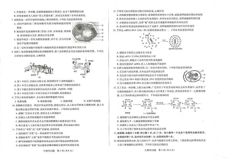 2022-2023学年河南省南阳市六校高一上学期期中联考生物试题和简易答案第2页