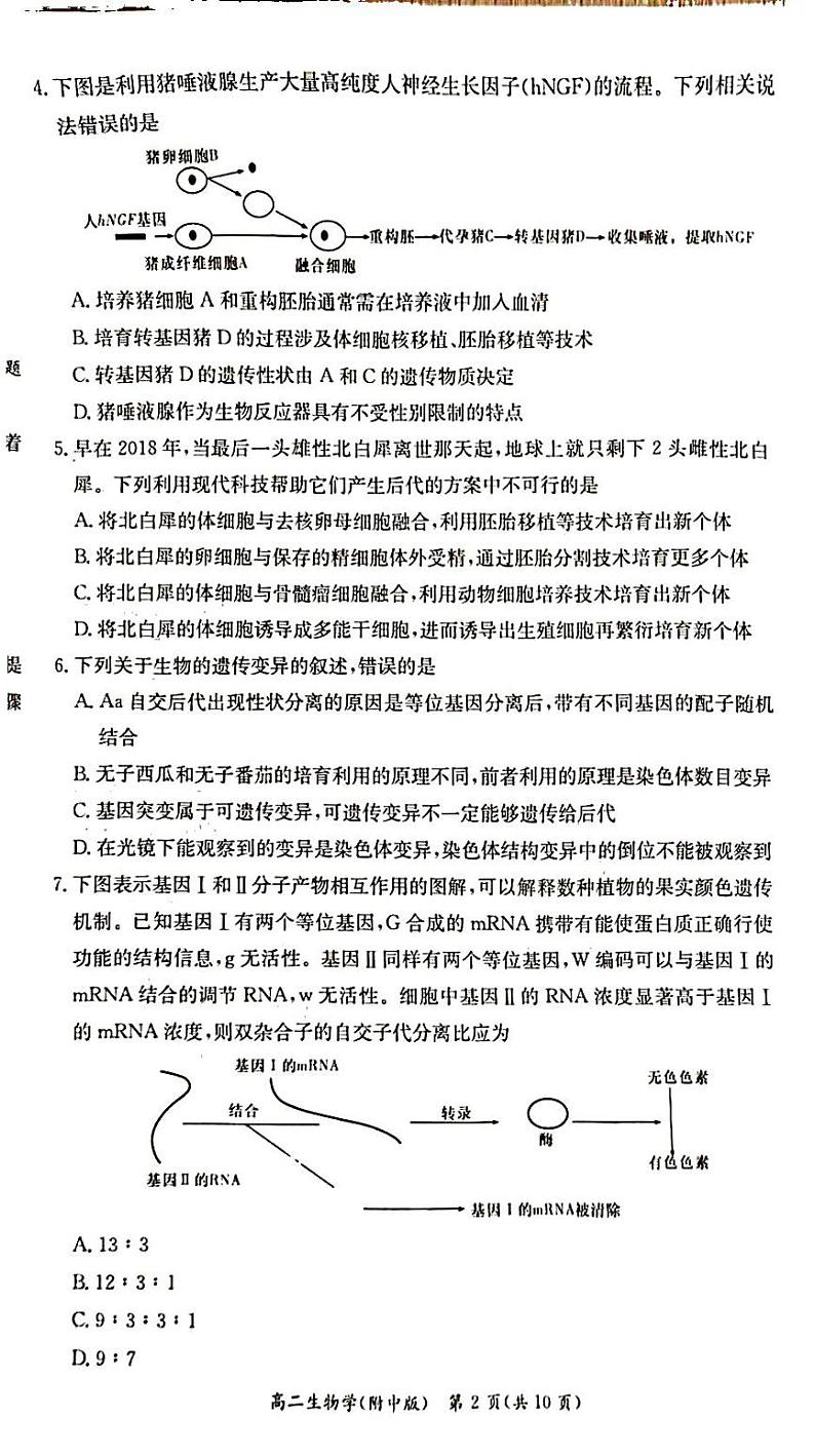 2022-2023学年湖南省长沙市湖南师大附中高二下学期4月期中生物试题PDF版含答案02