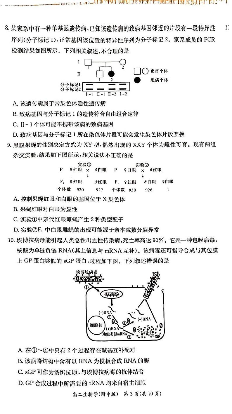 2022-2023学年湖南省长沙市湖南师大附中高二下学期4月期中生物试题PDF版含答案03