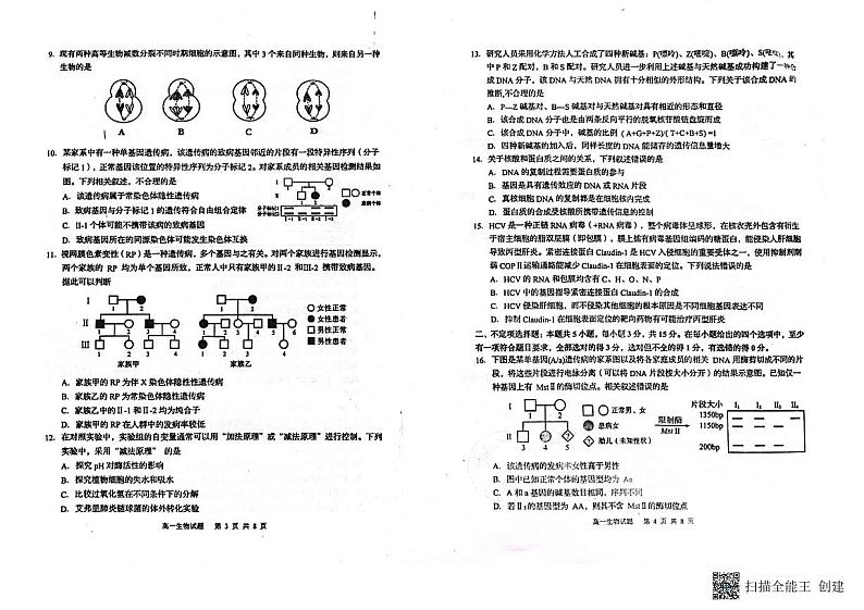2022-2023学年山东省青岛市莱西市高一下学期4月期中生物试题含答案02
