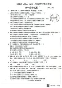 2022-2023学年安徽师范大学附属中学高一下学期4月月考生物试题含答案