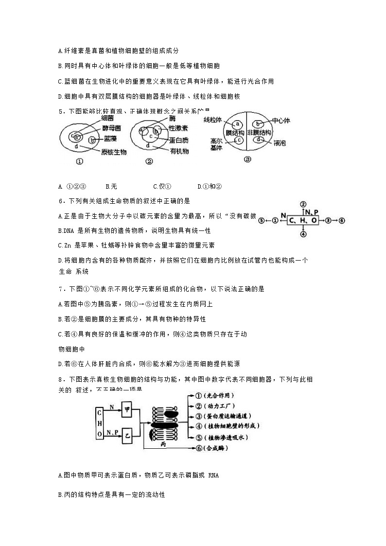2022-2023学年河南省信阳市浉河区信阳高级中学高一上学期10月月考生物试题含答案02