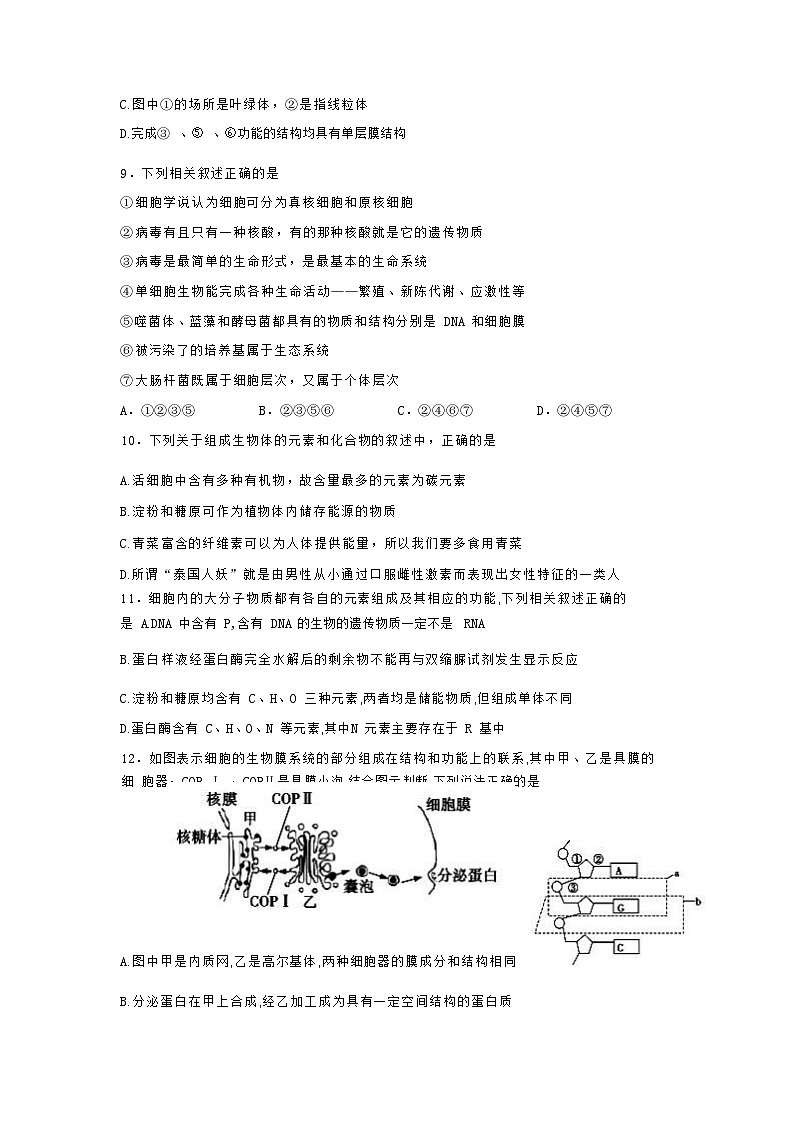 2022-2023学年河南省信阳市浉河区信阳高级中学高一上学期10月月考生物试题含答案03