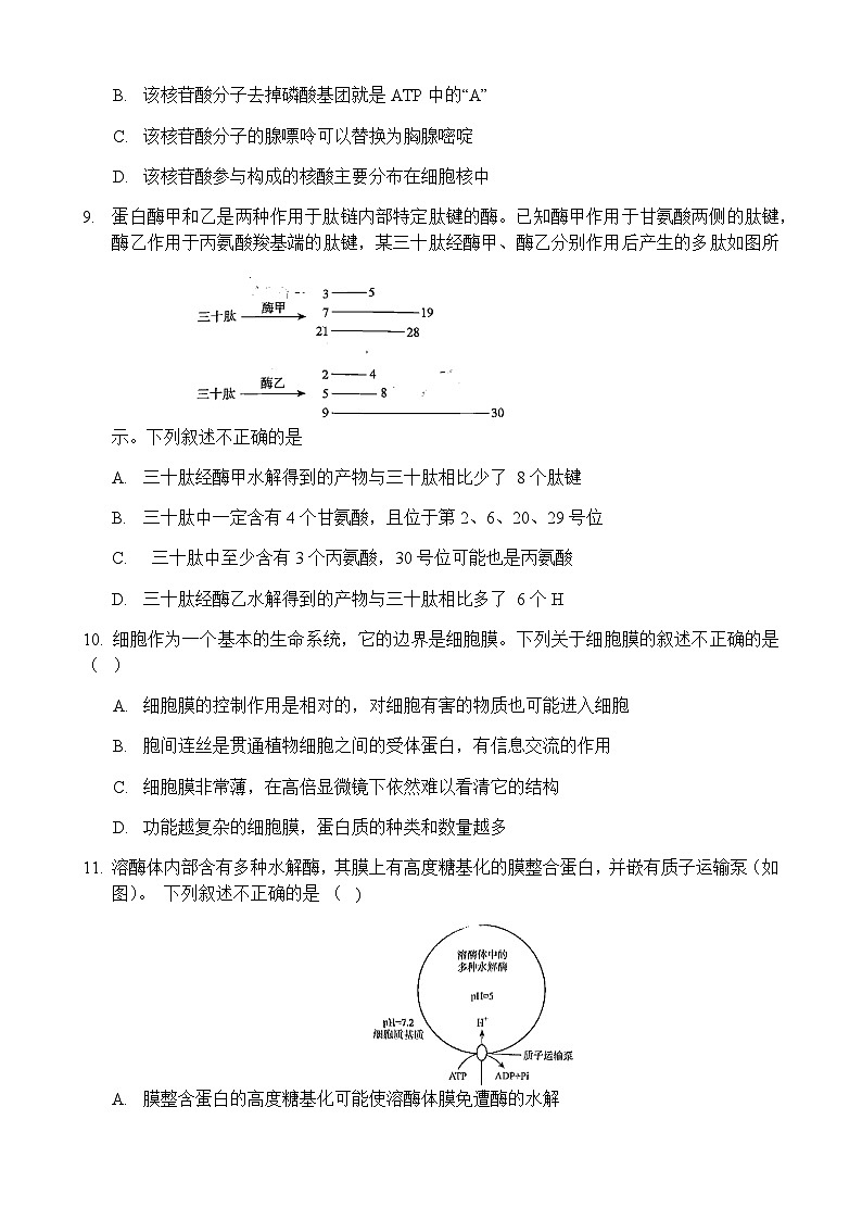2022-2023学年河南省洛阳市高一上学期期末生物试题含答案03
