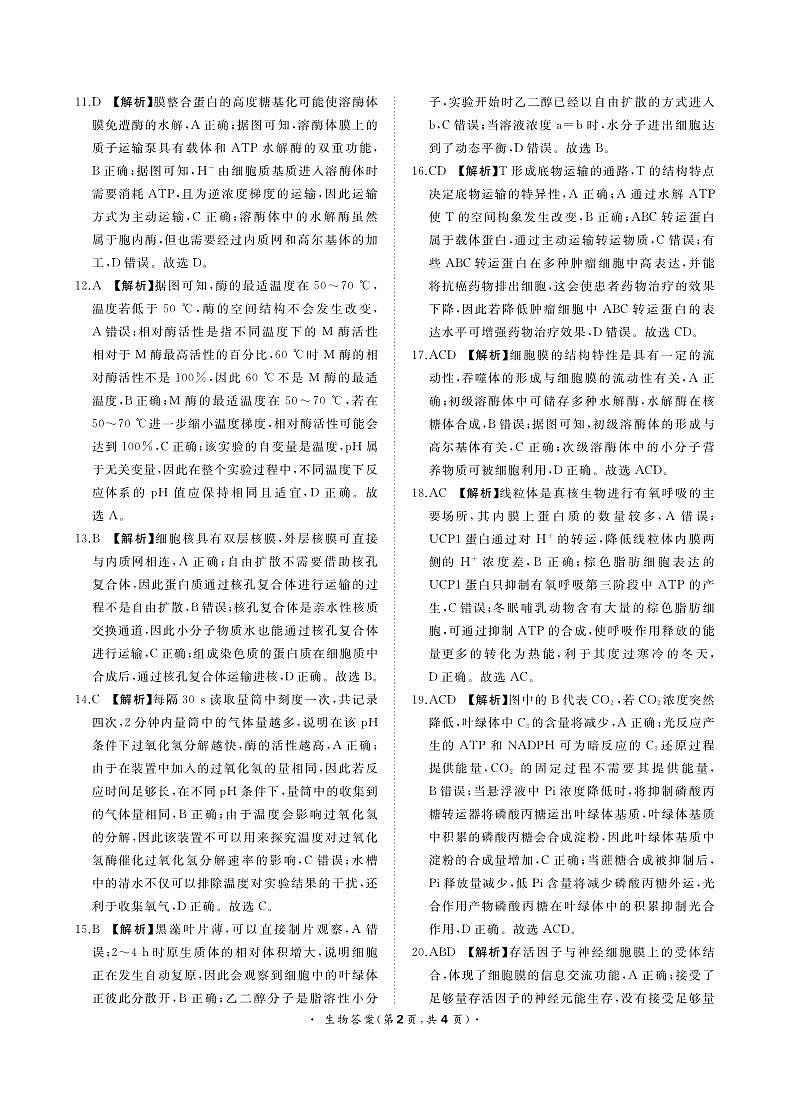 2022-2023学年河南省洛阳市高一上学期期末生物试题含答案02