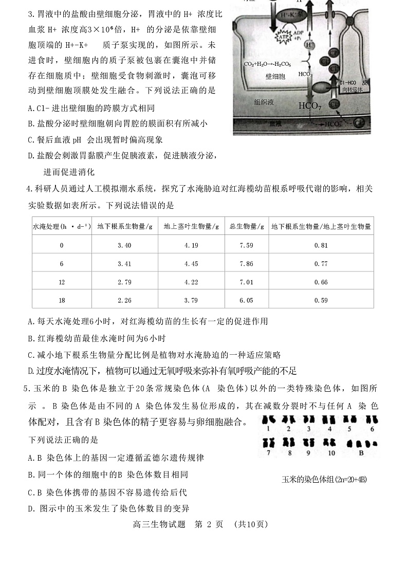 山东省2023届新高考联合模拟（济南二模）考试生物试题（Word版附答案）第2页