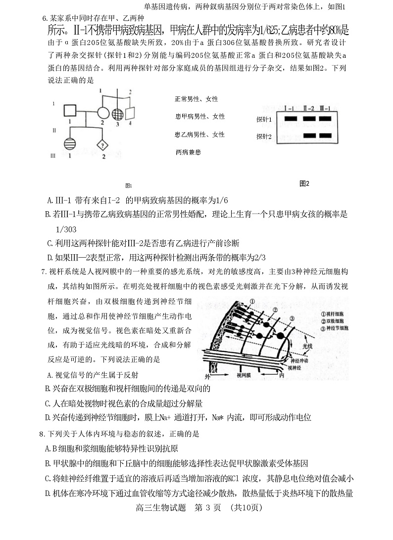 山东省2023届新高考联合模拟（济南二模）考试生物试题（Word版附答案）第3页