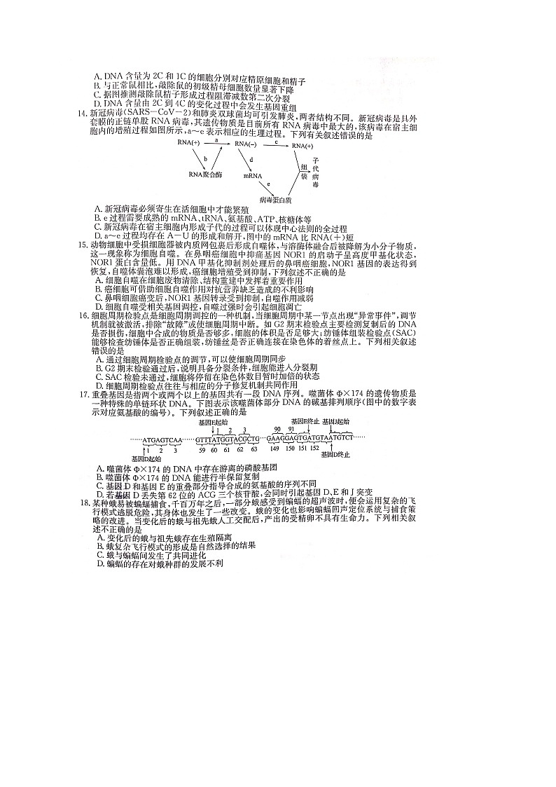 2023届皖南八校第一次大联考生物试卷 图片版无答案第3页