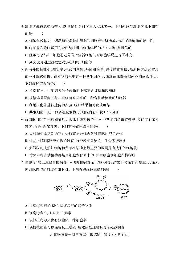 2022-2023学年湖北省宜城一中、枣阳一中等六校联考高一上学期期中考试生物试题含答案02