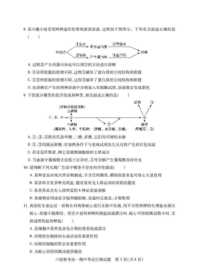 2022-2023学年湖北省宜城一中、枣阳一中等六校联考高一上学期期中考试生物试题含答案03