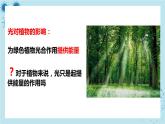 人教版高中生物选择性必修第一册·第5章- 第4节 环境因素参与调节植物的生命活动（课件PPT）